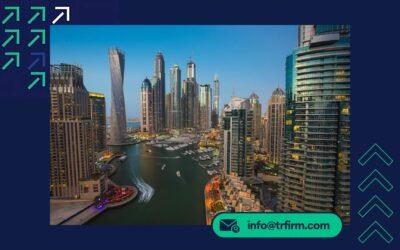 UAE Free Zone Company